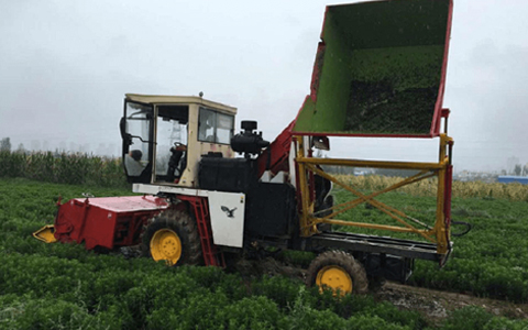 甘肅普華甜菊糖開(kāi)發(fā)有限公司